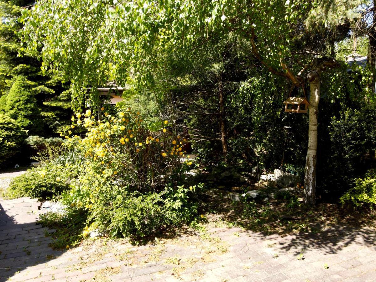 Pokoje Rezydencja Parysa Lublin Ngoại thất bức ảnh